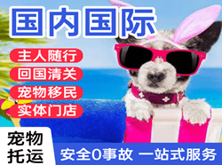 兴义万峰林机场货运国际宠物托运 【国
